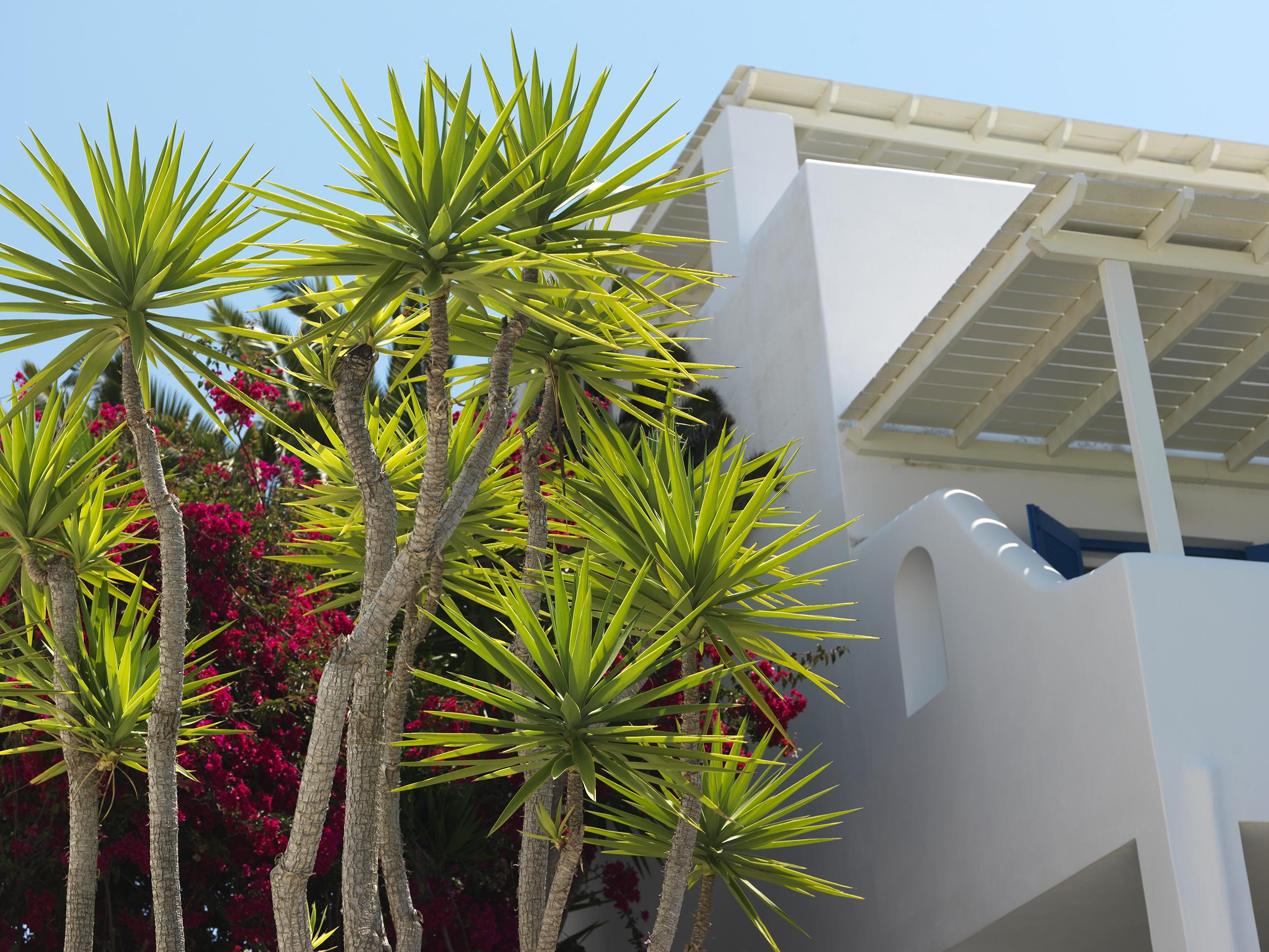 Aloni Hotel & Suites Piso Livadi Exterior photo